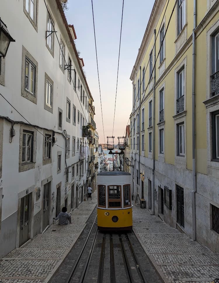 writing cover image New Yorker In Lisbon